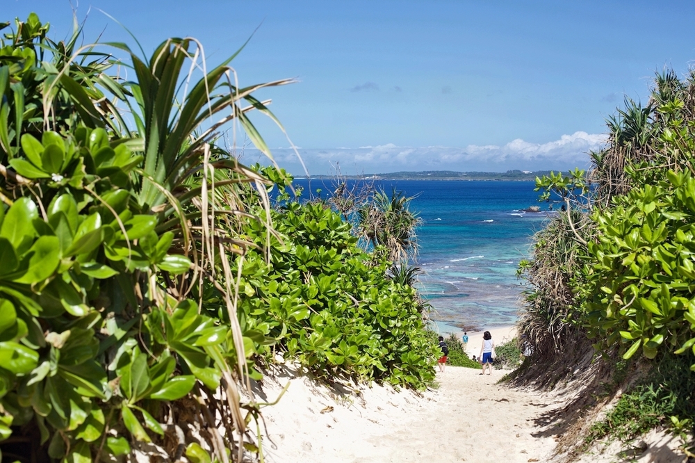 砂山ビーチに宝物を探しに行く。の写真3