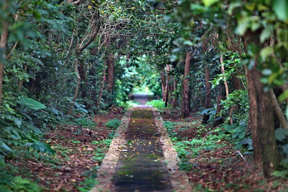 伊良部大橋とその先のアドベンチャーワールドの写真8