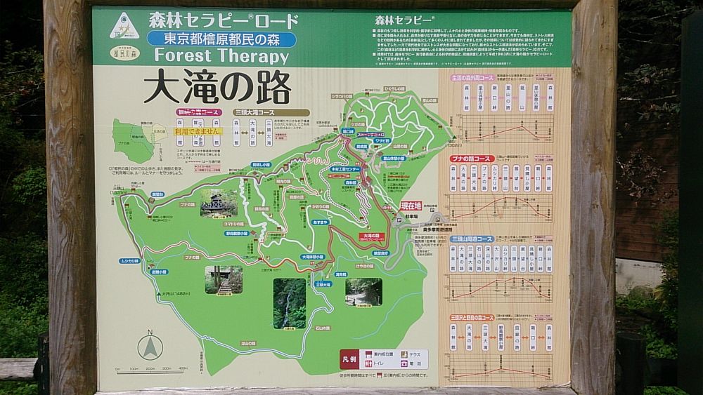 ハセツネ後半コース（都民の森～五日市会館）約35kmの写真5