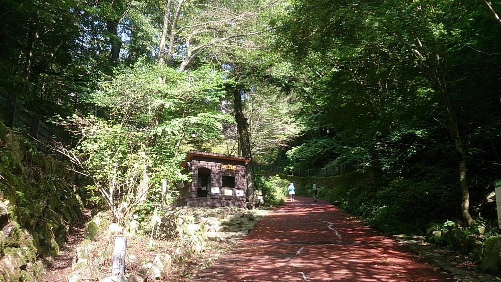 ハセツネ後半コース（都民の森～五日市会館）約35kmの写真6