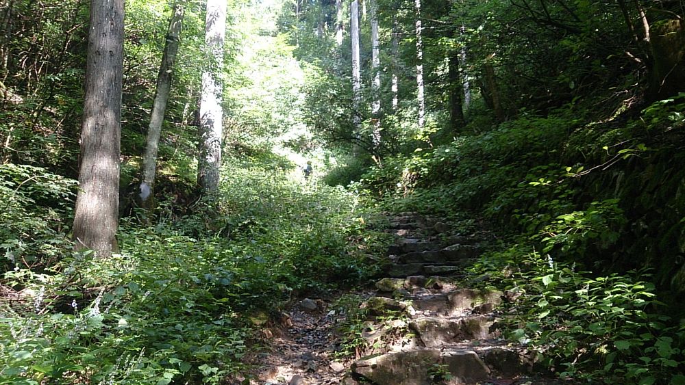 ハセツネ後半コース（都民の森～五日市会館）約35kmの写真9