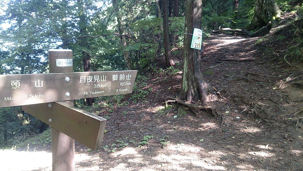 ハセツネ後半コース（都民の森～五日市会館）約35kmの写真10