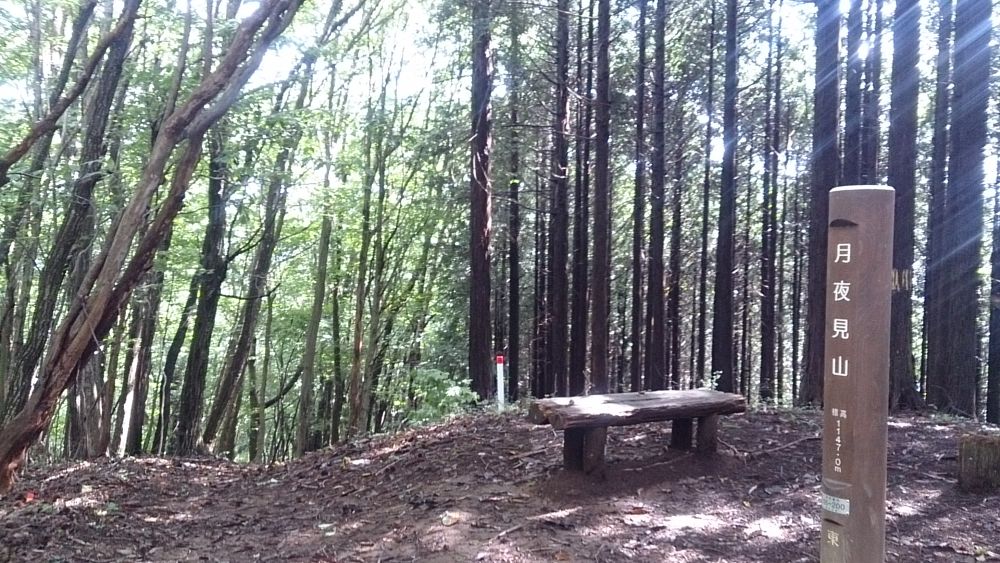 ハセツネ後半コース（都民の森～五日市会館）約35kmの写真12