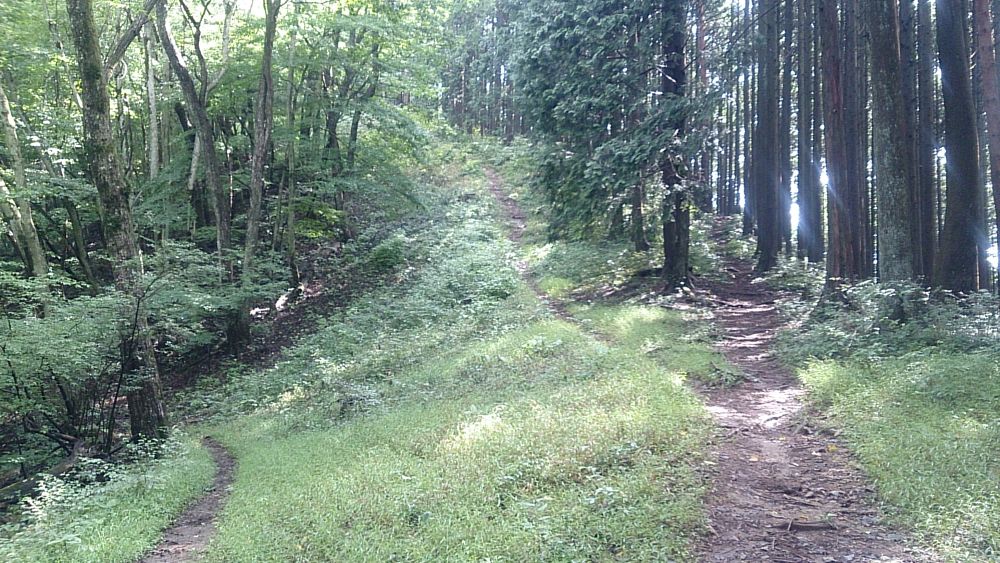 ハセツネ後半コース（都民の森～五日市会館）約35kmの写真14
