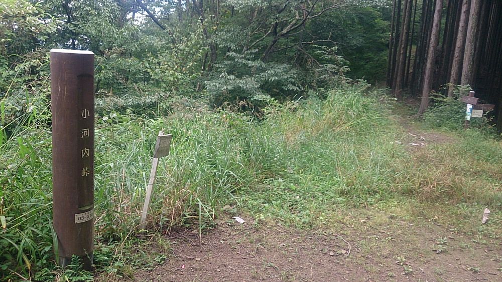 ハセツネ後半コース（都民の森～五日市会館）約35kmの写真16