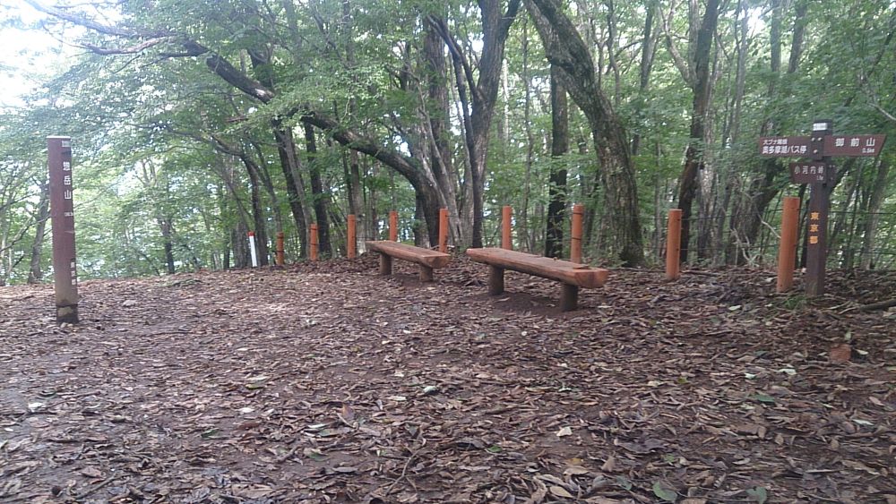 ハセツネ後半コース（都民の森～五日市会館）約35kmの写真17