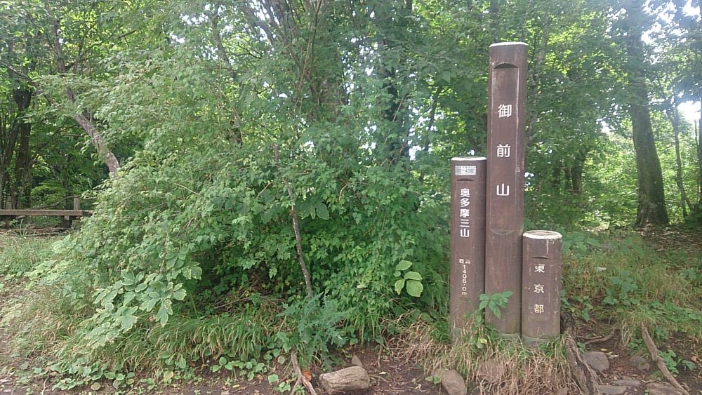 ハセツネ後半コース（都民の森～五日市会館）約35kmの写真18