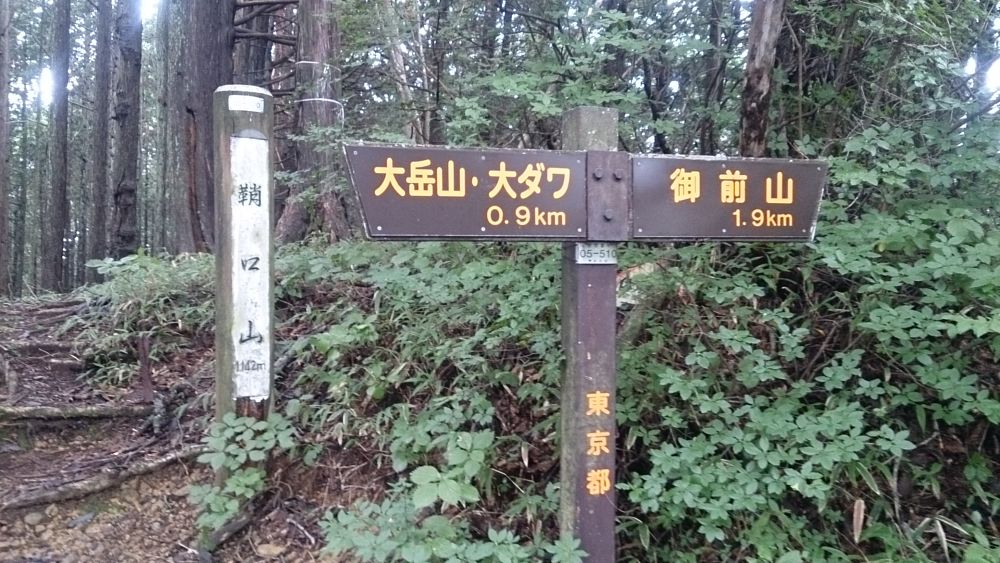 ハセツネ後半コース（都民の森～五日市会館）約35kmの写真19