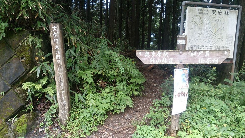 ハセツネ後半コース（都民の森～五日市会館）約35kmの写真21