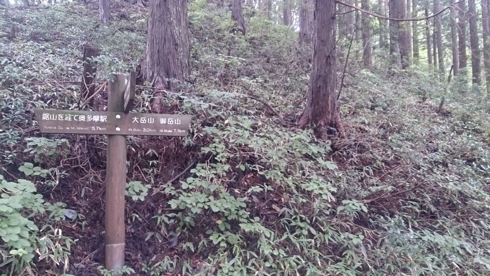 ハセツネ後半コース（都民の森～五日市会館）約35kmの写真22