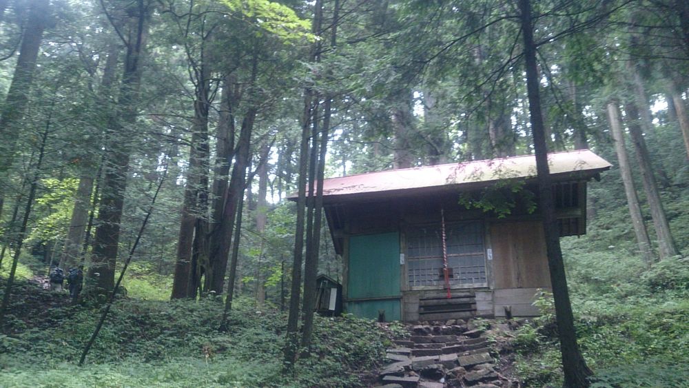 ハセツネ後半コース（都民の森～五日市会館）約35kmの写真25