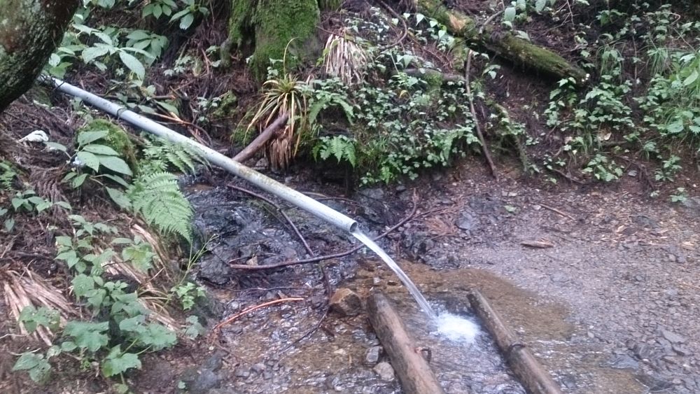 ハセツネ後半コース（都民の森～五日市会館）約35kmの写真26