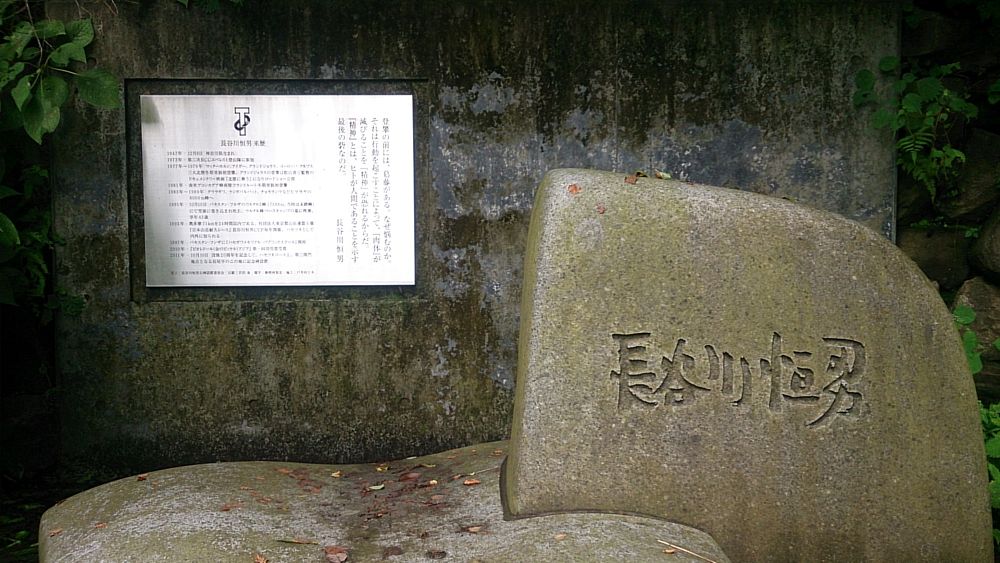 ハセツネ後半コース（都民の森～五日市会館）約35kmの写真28