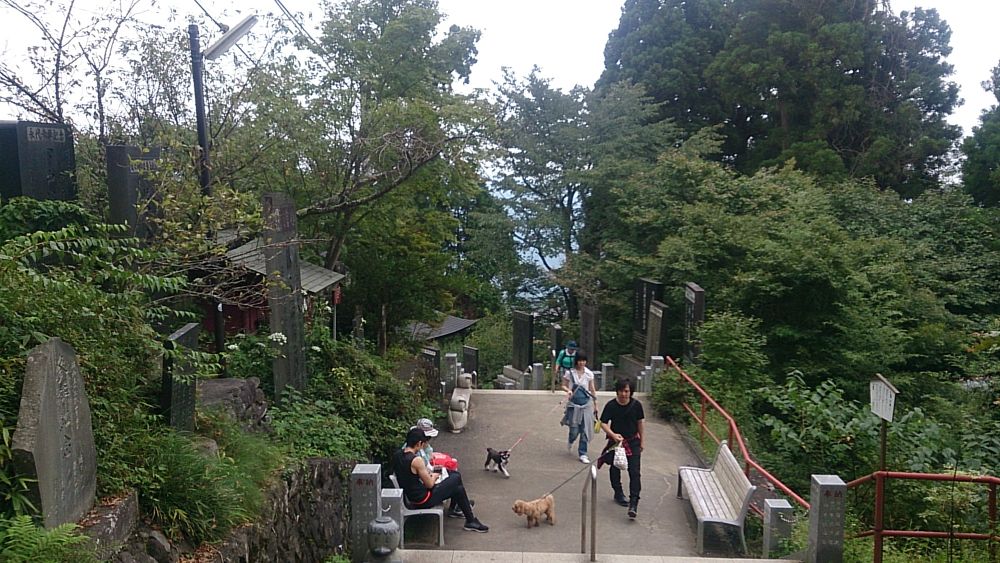 ハセツネ後半コース（都民の森～五日市会館）約35kmの写真29