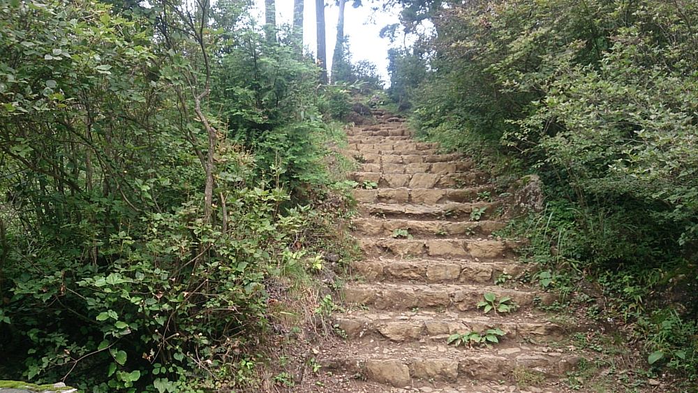 ハセツネ後半コース（都民の森～五日市会館）約35kmの写真33