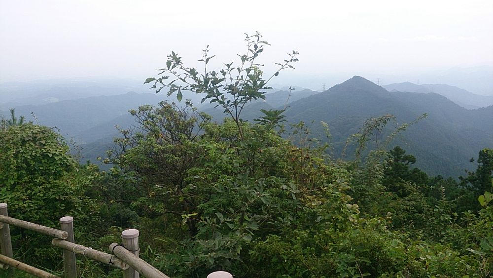 ハセツネ後半コース（都民の森～五日市会館）約35kmの写真36