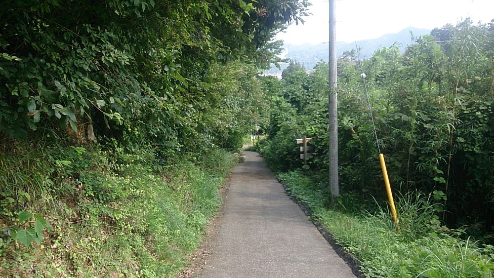 ハセツネ後半コース（都民の森～五日市会館）約35kmの写真40