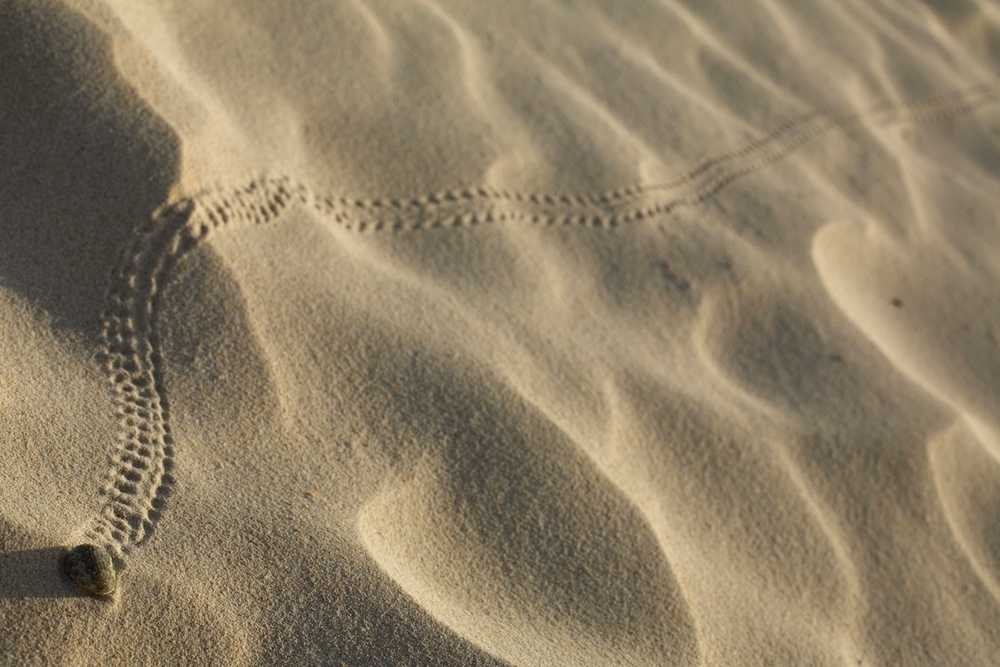 東洋一の美しさ・与那覇前浜ビーチの写真8