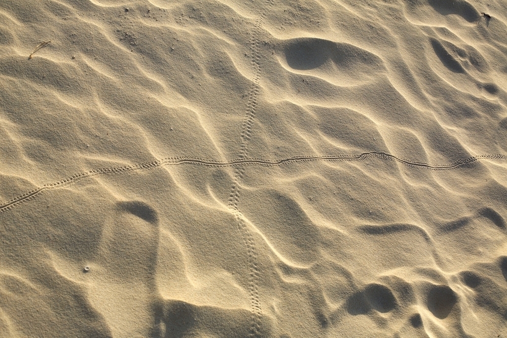 東洋一の美しさ・与那覇前浜ビーチの写真9