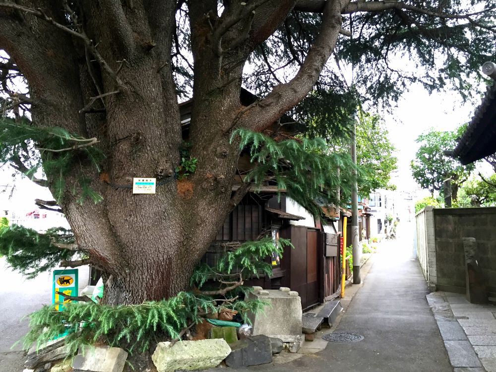 まち全体がホテル！東京下町を楽しめる谷中エリアで気ままにRunningの写真3