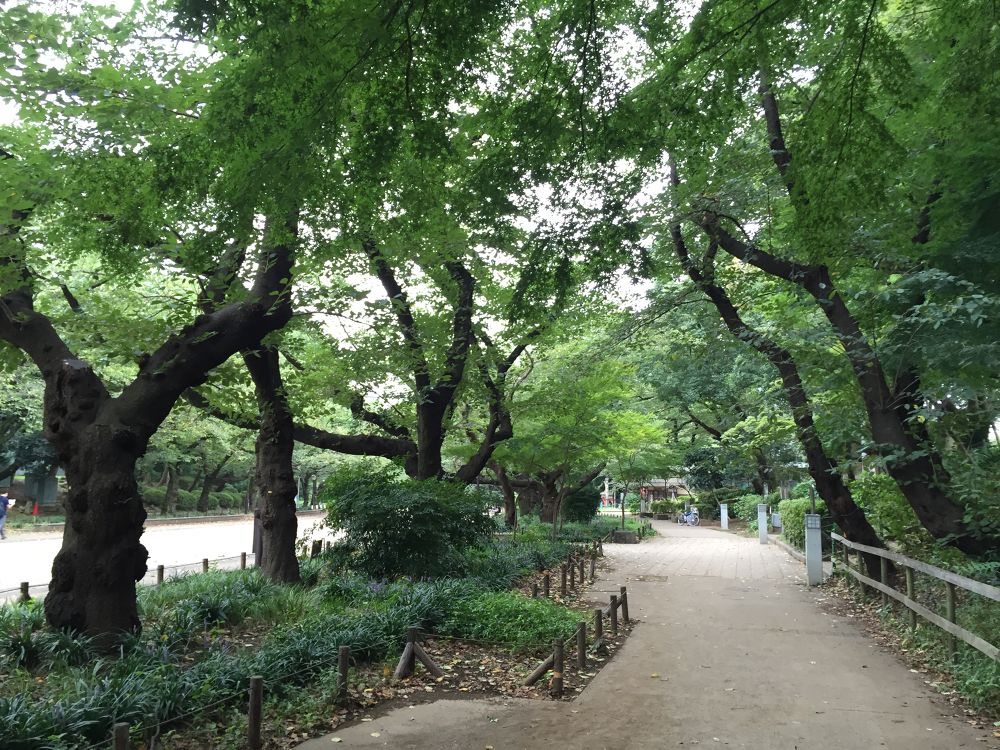 まち全体がホテル！東京下町を楽しめる谷中エリアで気ままにRunningの写真6