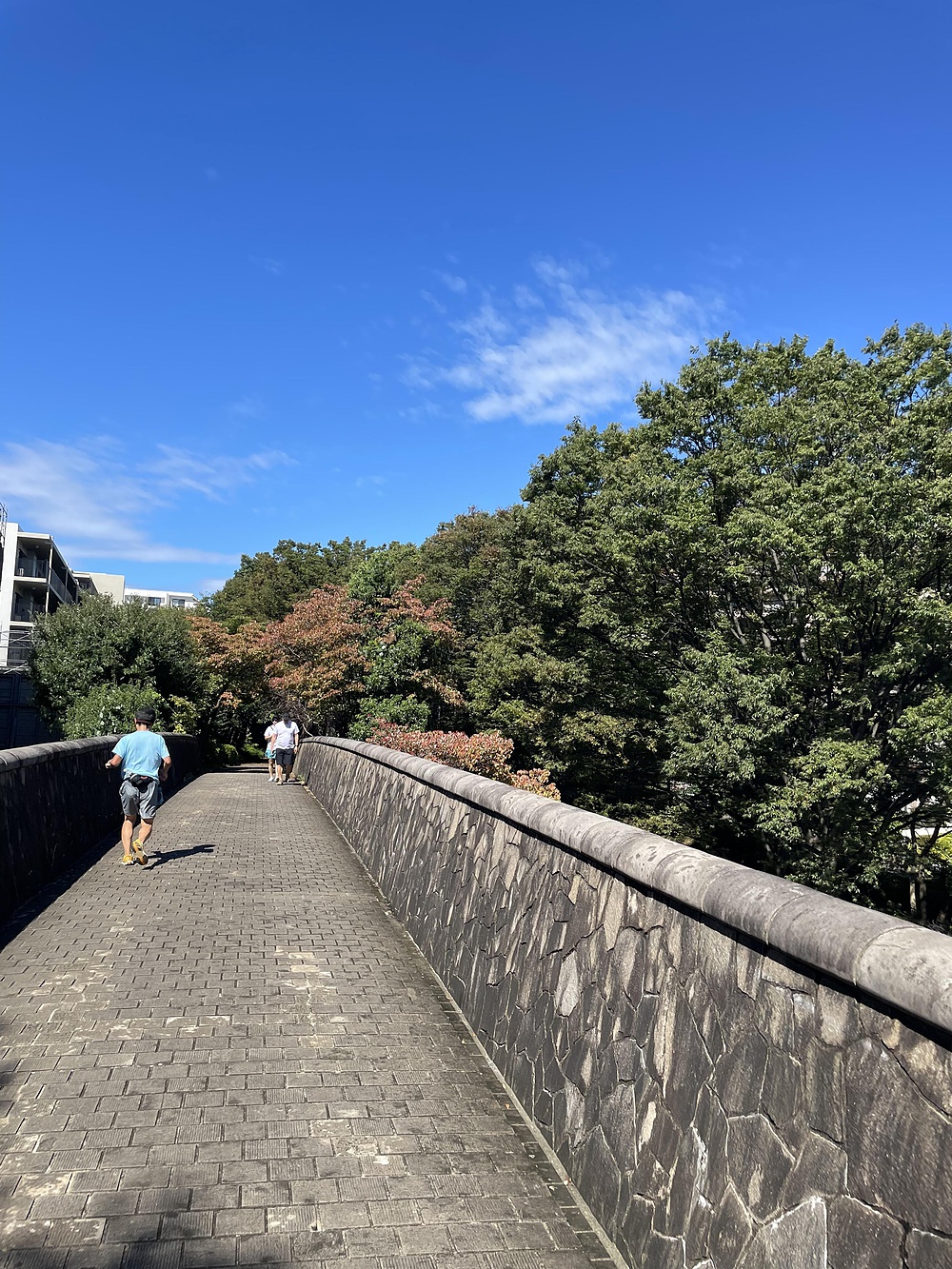 横浜都筑区トレイルランの写真4