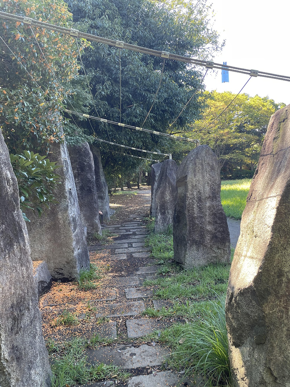 横浜都筑区トレイルランの写真5