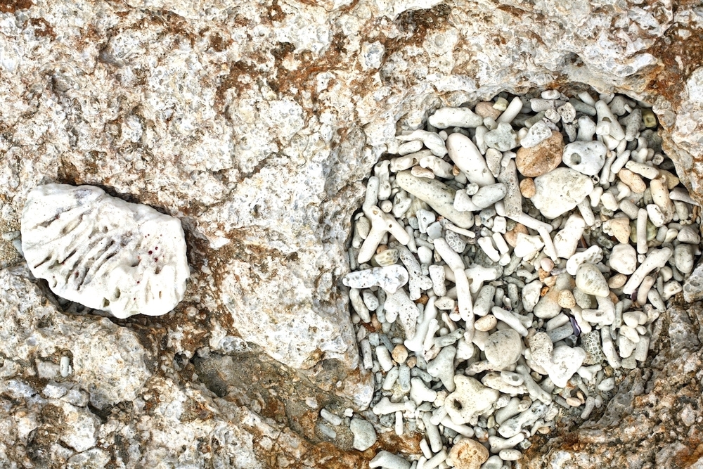 来間島の美しさと静寂の空間 ② ムスヌン浜の写真5