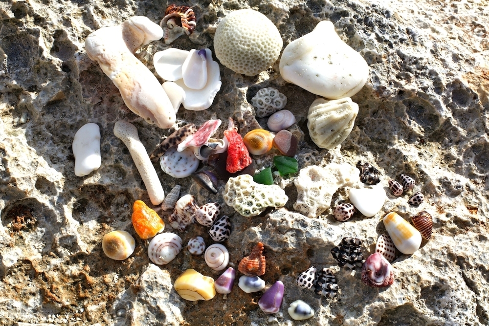 来間島の美しさと静寂の空間 ② ムスヌン浜の写真6