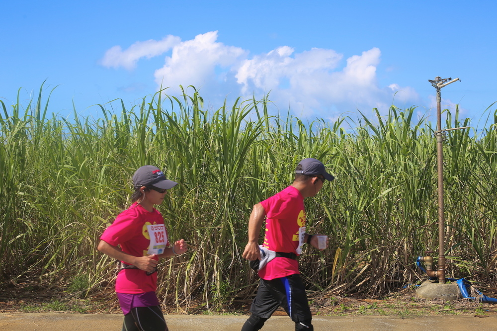 一生に一度は走るべきマラソン ！！【エコアイランド宮古島マラソン】の写真15