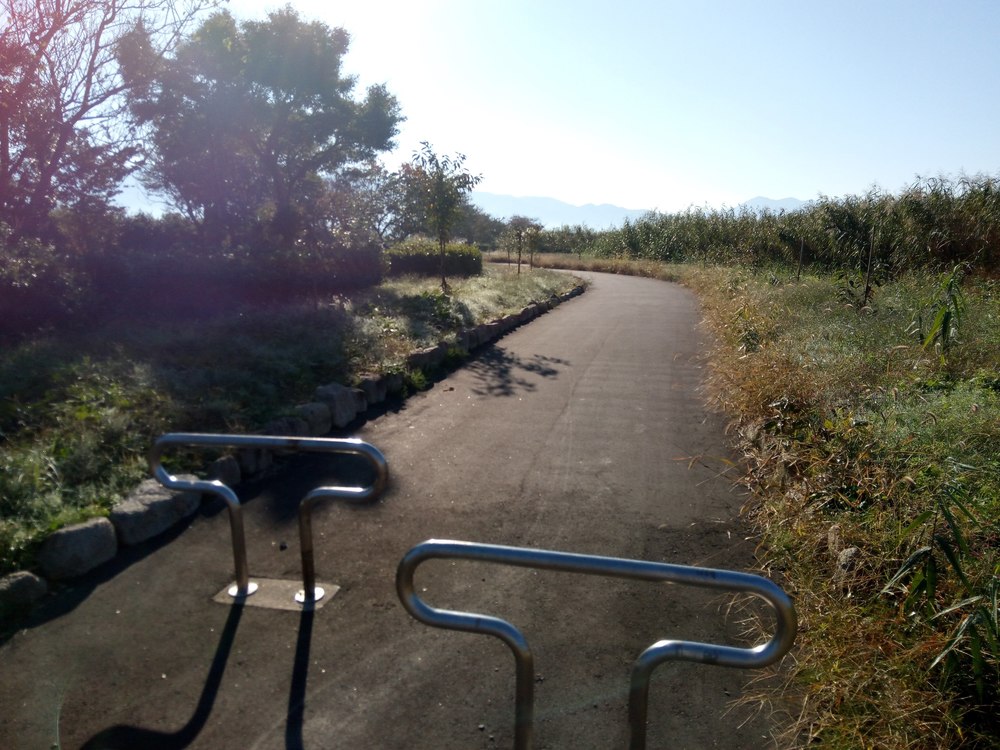 白鳥を見ながら瓢湖1周ランニングの写真7