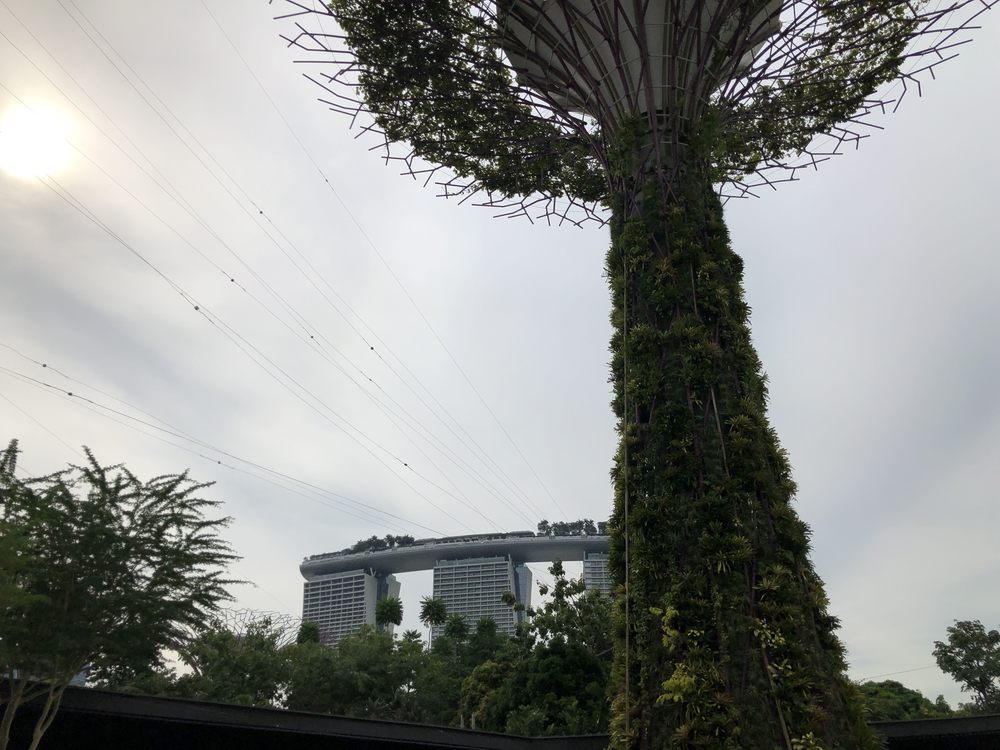 シンガポール マリーナベイ ランニングの写真7