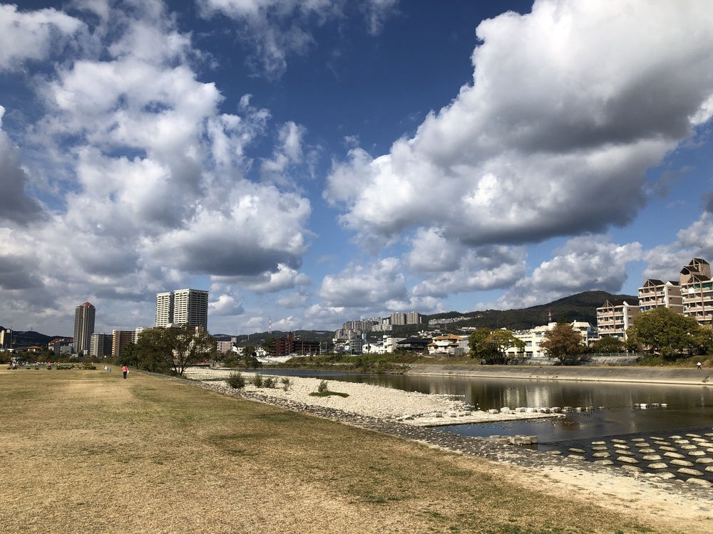 【武庫川ラン】甲武橋〜宝塚末広公園＜往復＞の写真3