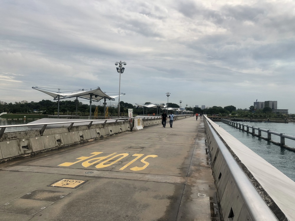 シンガポールマラソン2018 ハイライトの写真4