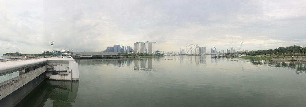 シンガポールマラソン2018 ハイライトの写真5