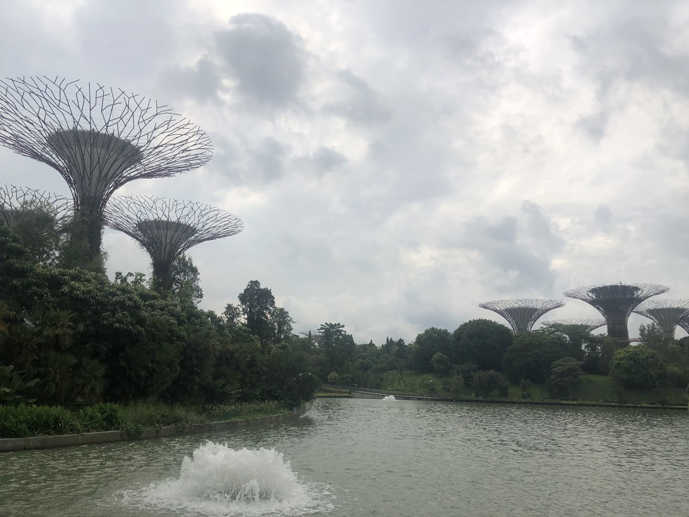 シンガポールマラソン2018 ハイライトの写真6