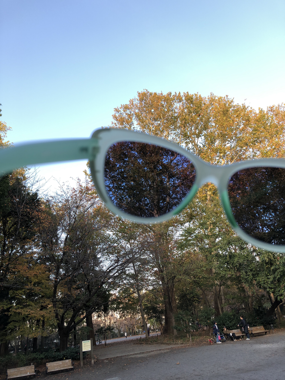 MORNING MY WAY to 林試の森の写真4