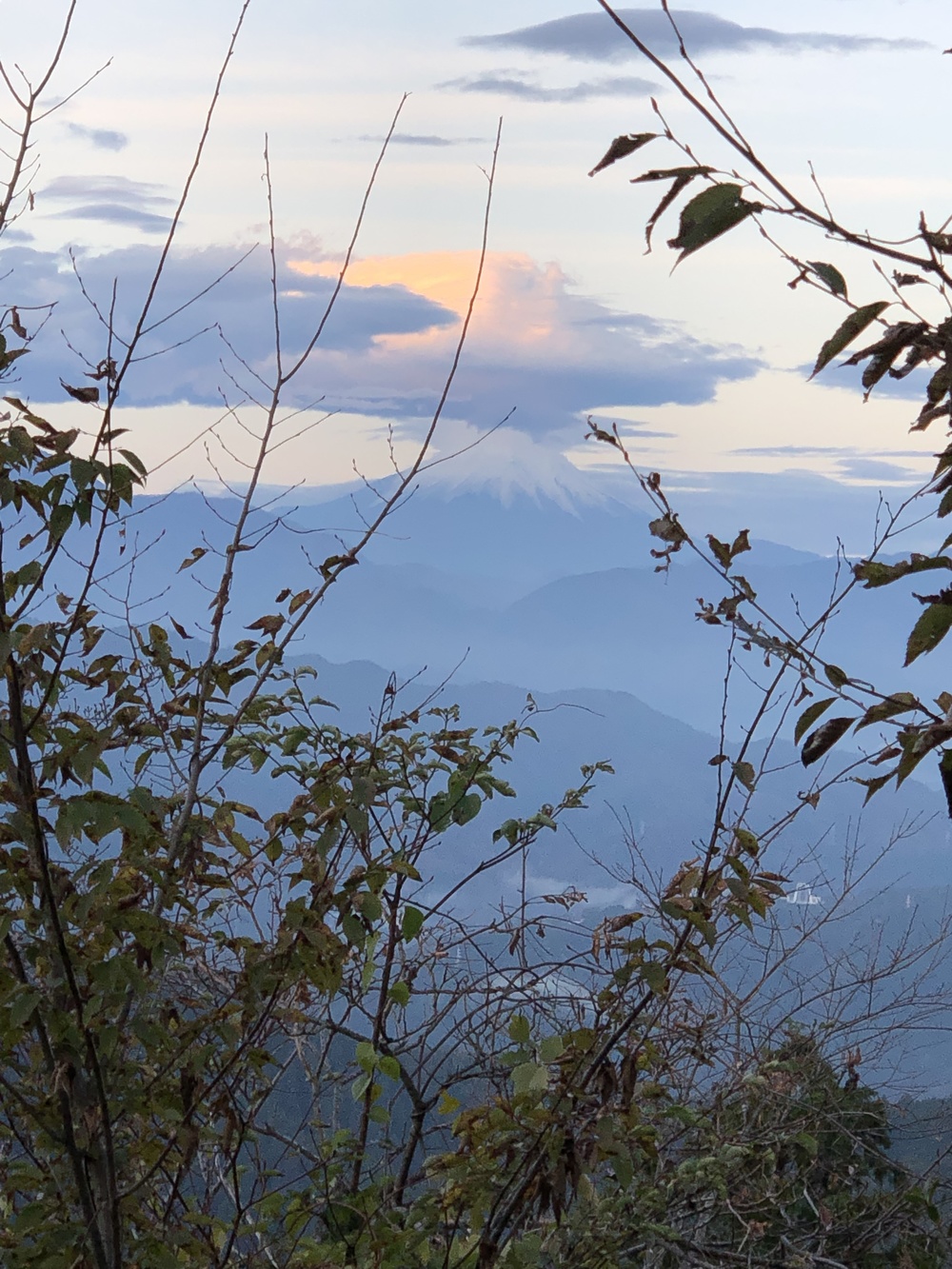 南高尾周遊トレイルの写真3