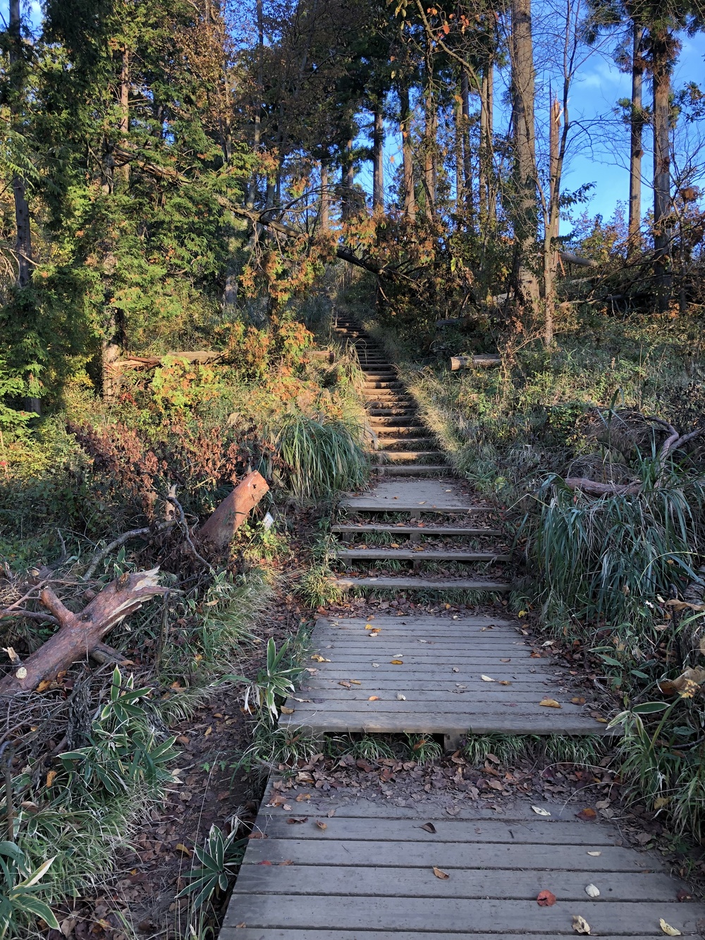 南高尾周遊トレイルの写真4