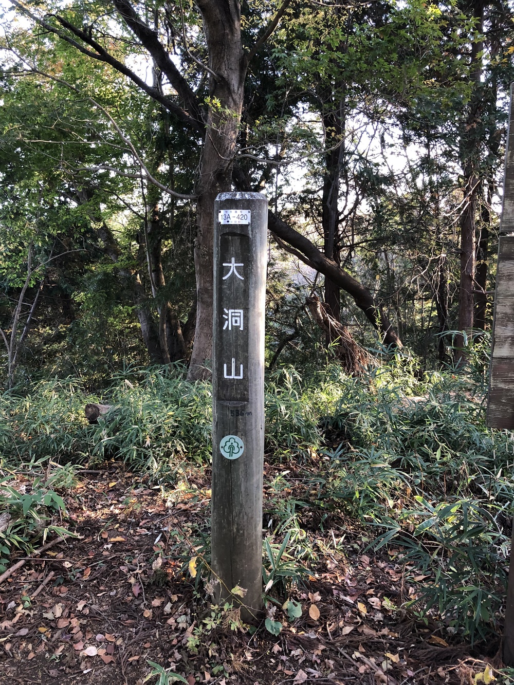 南高尾周遊トレイルの写真6