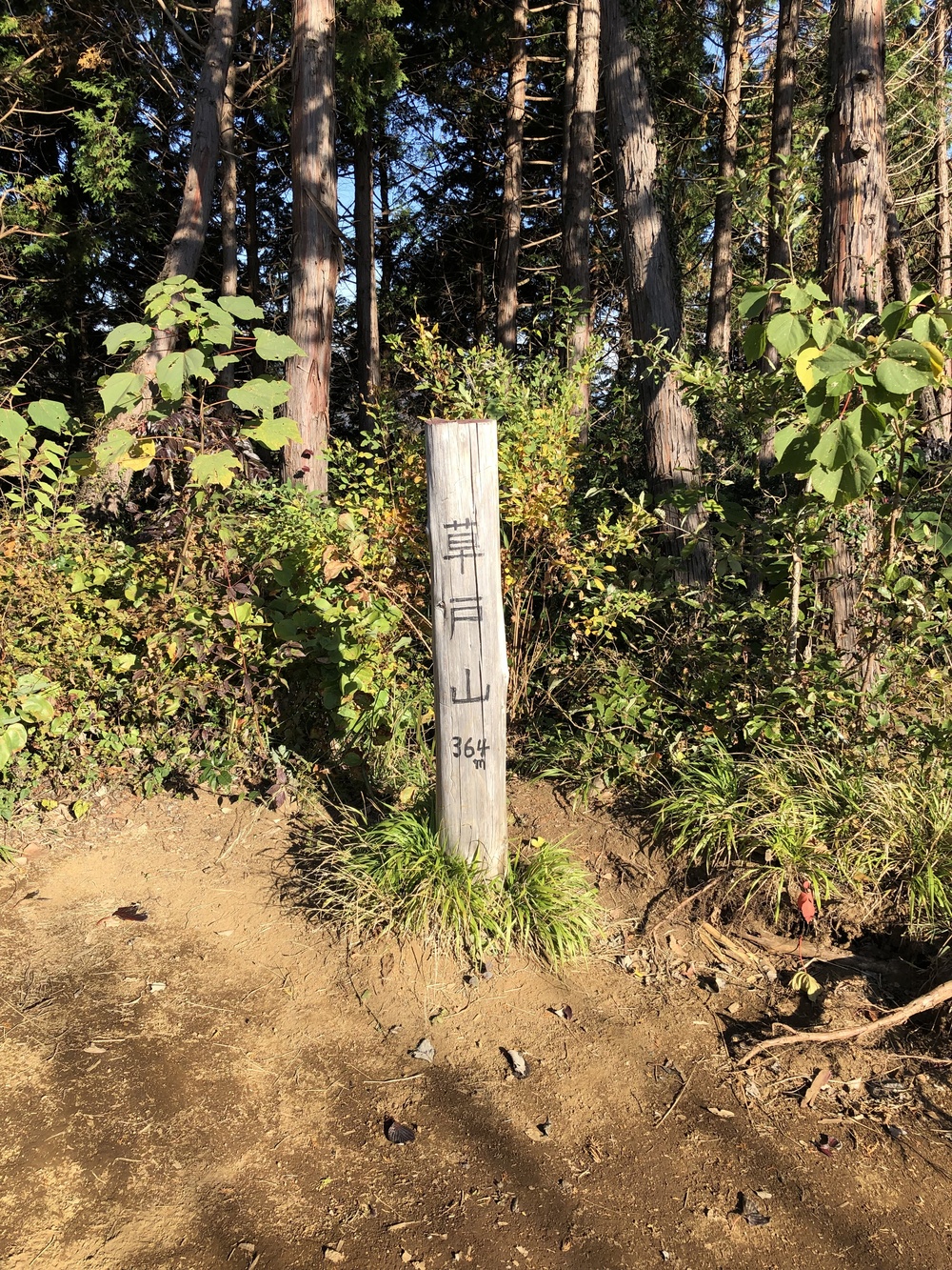 南高尾周遊トレイルの写真8