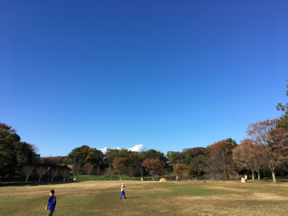茅ヶ崎里山公園で紅葉見物と坂練の写真4