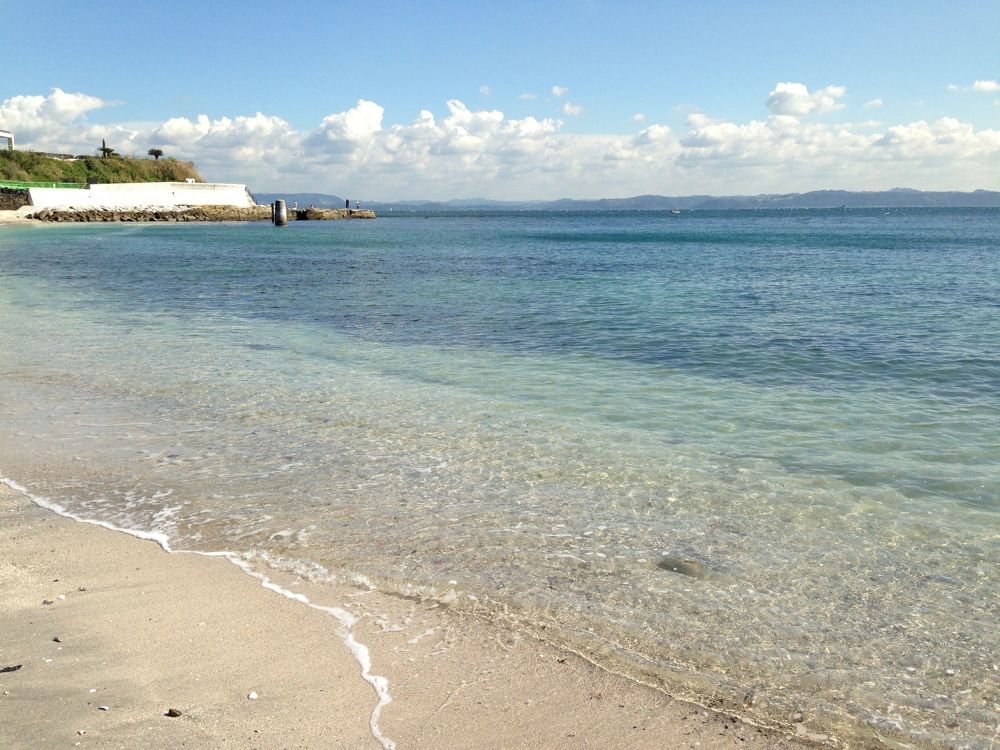 【10km】観音崎〜馬堀海岸コースの写真3