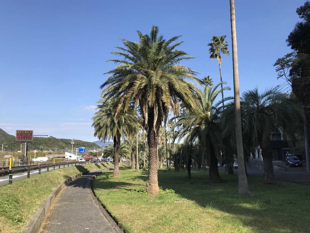 日向金ヶ浜・お倉ヶ浜アドベンチャーランの写真3