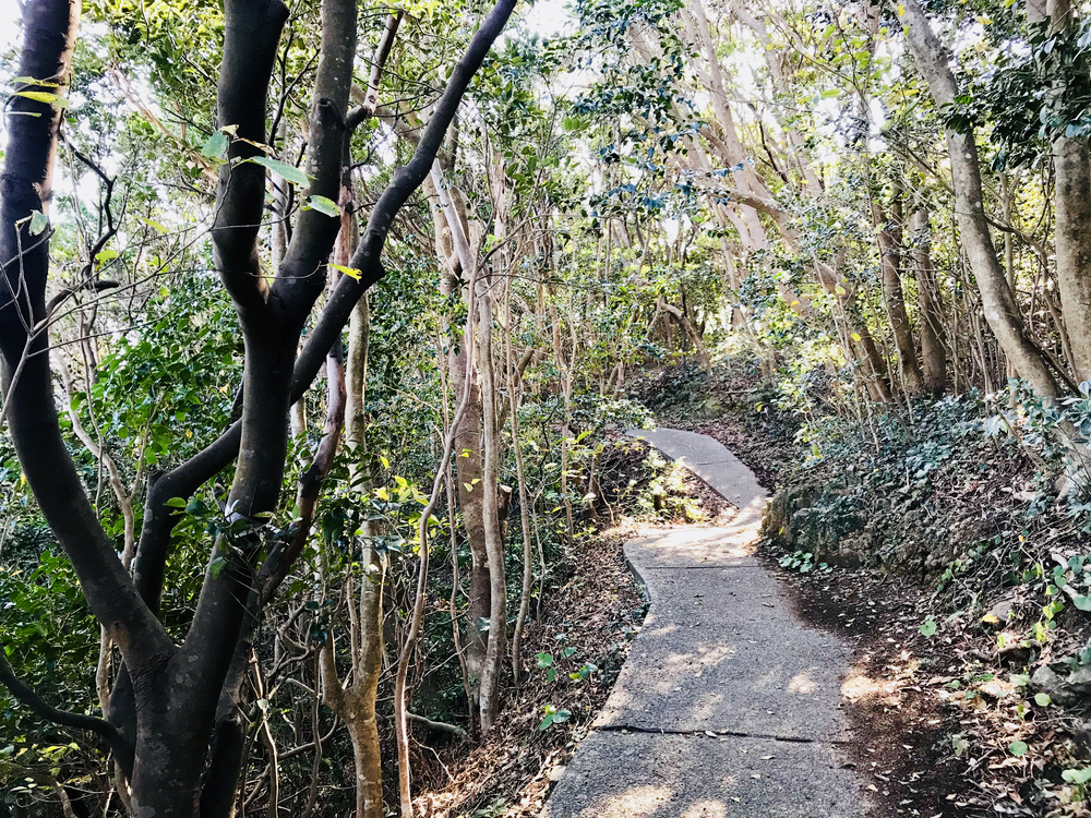 日向金ヶ浜・お倉ヶ浜アドベンチャーランの写真7