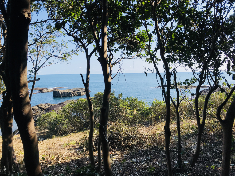 日向金ヶ浜・お倉ヶ浜アドベンチャーランの写真8