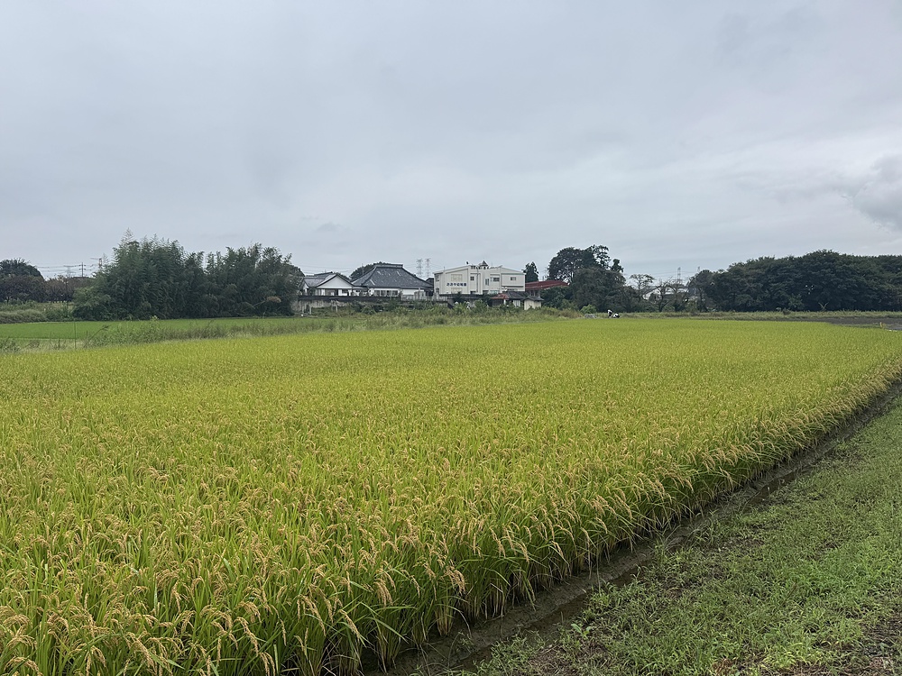 高麗川沿い17キロ　北坂戸駅〜高麗川駅の写真5