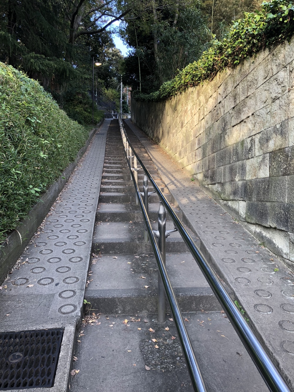 【ブラタモリ的】東京の坂を巡る文京区周回コースの写真8