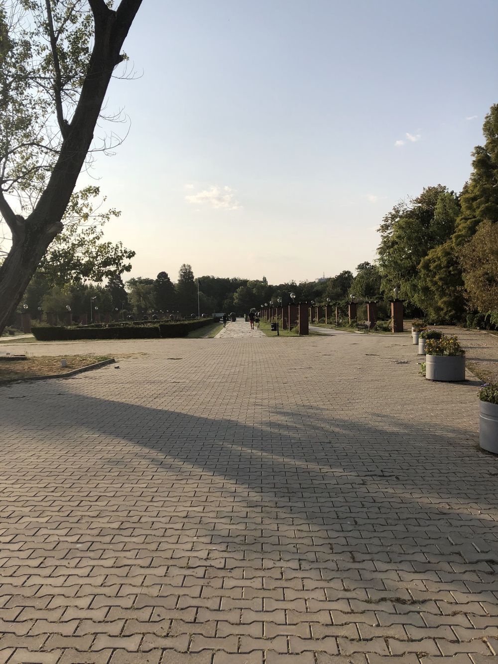 ブカレスト・ヘラストラウ公園で朝ランの写真4