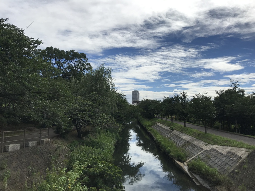 海老川ジョギングロードの写真4